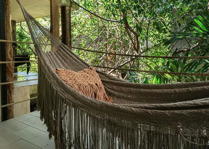 Hotel Sunset House